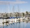 Yachts at a Marina in Auckland