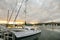 Yachts in marina of Puerto Los Cabos