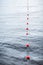 Yachts moorings red buoy of small European marina. Rain. Lake. See