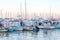 Yachts parked in Port of Cannes at sunset