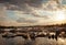 Yachts parking in harbor at sunset. Golden sunset at yacht club