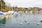 Yachts at Port de Pully Habor , Lake Geneva , Switzerland