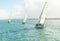 Yachts racing in auckland harbour