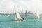 Yachts racing in auckland harbour