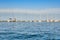 Yachts and sailing boats are on the dock. The small naval vessels are in the harbor on a background of blue sky