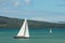 Yachts sailing in Hauraki Gulf