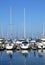 Yachts in San Francisco harbor