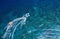 Yachts at the sea in Bali, Indonesia. Aerial view of luxury floating boat on transparent turquoise water at sunny day. Summer seas