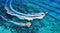 Yachts at the sea surface. Aerial panoramic view of luxury floating boat on transparent turquoise water at sunny day. Top view fro