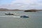 Yachts, seagoing vessels and tugboats on the roads of the port of Gladstone, Australia. December, 2019.