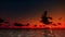 Yachts and Seagulls at Sunset with Time Lapse Clouds