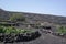 Yaisa grapewine fields, lanzarote, canaria islands