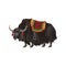 Yak animal with saddle