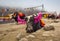 Yak animals used for tourist ride near Tsomgo Changu lake, East Sikkim India.