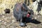 Yak, grunting ox in Himalaya mountains