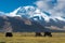 Yak at Karakul Lake view from Karakoram Highway in Pamir Mountains, Akto County, Kizilsu Kirghiz, Xinjiang, China.