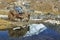 Yak and Lhotse peak reflected in water, Nepal