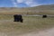 Yak pastures of Mongolia. High in the mountains