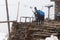 Yak standing snow weather stone house lodge, Gosaikunda Nepal.