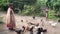 Yakel Village, Tanna, Vanuatu - July 22. 2019: Woman at the Yakel Village feeding chicken