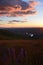 Yakima Valley Sunset, Horse Heaven Hills Lupine and Cotton Candy Clouds, Mt. Adams & Rainier Presiding
