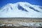 Yaks in beautiful landscape with snow covered mountains at Karakorum highway in Xinjiang, China