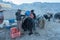 Yaks carrying heavy goods to Everest Base Camp in Himalaya - Sag