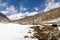 Yaks grazing at Gokyo lakes