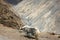 Yaks in the Himalayan mountains, Nepal.