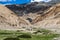 Yaks near Tso Moriri Lake in Changtang, Ladakh, India