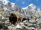 Yaks and tents in Everest base camp. Nepal himalayas