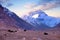 Yaks in the Tibetan plateau in a brown valley surrounding Mount Everest, against a cold colorful morning sky.