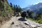 Yaks on the trail, Namche Bazaar, Everest Base Camp trek, Nepal