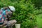 Yakut Asian girl with a backpack sitting at a Bush of wild currants collects berries.