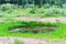 Yakut Asian girl tourist holding a package in his hand waving his hand standing behind a small pond.