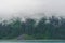 Yakutat Bay, Alaska, USA: Clouds descending on a pine forest