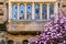 Yale University Magnolia Windows Reflection