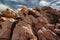 Yallingup Canal Rocks in Western Australia