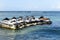 Yamaha jet skis parked on pier floating watercraft pontoon