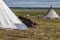 Yamal,   reindeers in Tundra, pasture of Nenets