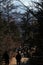 Yamanashi, Japan - 01/05/2019: People walking up and down the steps that lead to Chureito Pagoda in Yamanashi, Japan