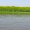 Yamuna River view from the boat in the day at Vrindavan, Krishna temple Kesi Ghat on the banks of the Yamuna River in the town of