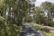 Yandina Country Road