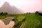 Yangshuo landscape - rice field