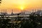 Yantian port in Shenzhen under sunset