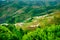 Yaoshan Mountain Rice Terraces