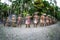 Yapese Dancers Perform in Front of Stone Money