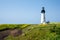 Yaquina Head Lighthouse in bloom