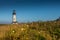 Yaquina Head Lighthouse Sits in Field of Wild Flowers