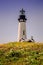 Yaquina Lighthouse embellished by wildflowers on the Oregon Coast